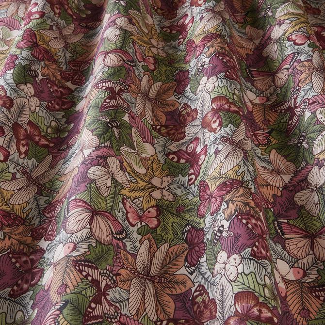 Botanist Coral 2 SQUARE