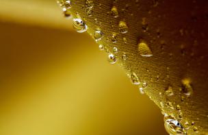 Aquadry Macro Photography Product Fabric 2560