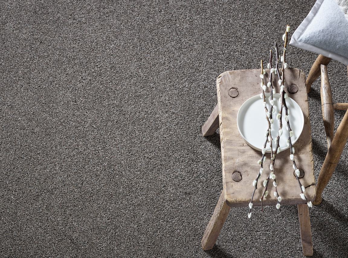 Highland Saxony Bison Header