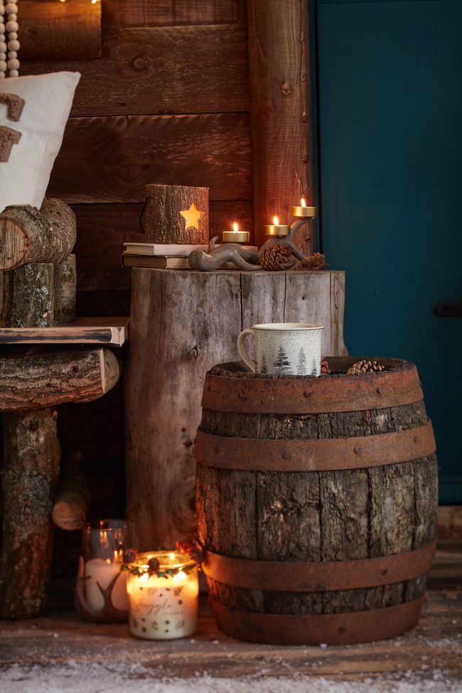 Cabin front snowy cameo 0012