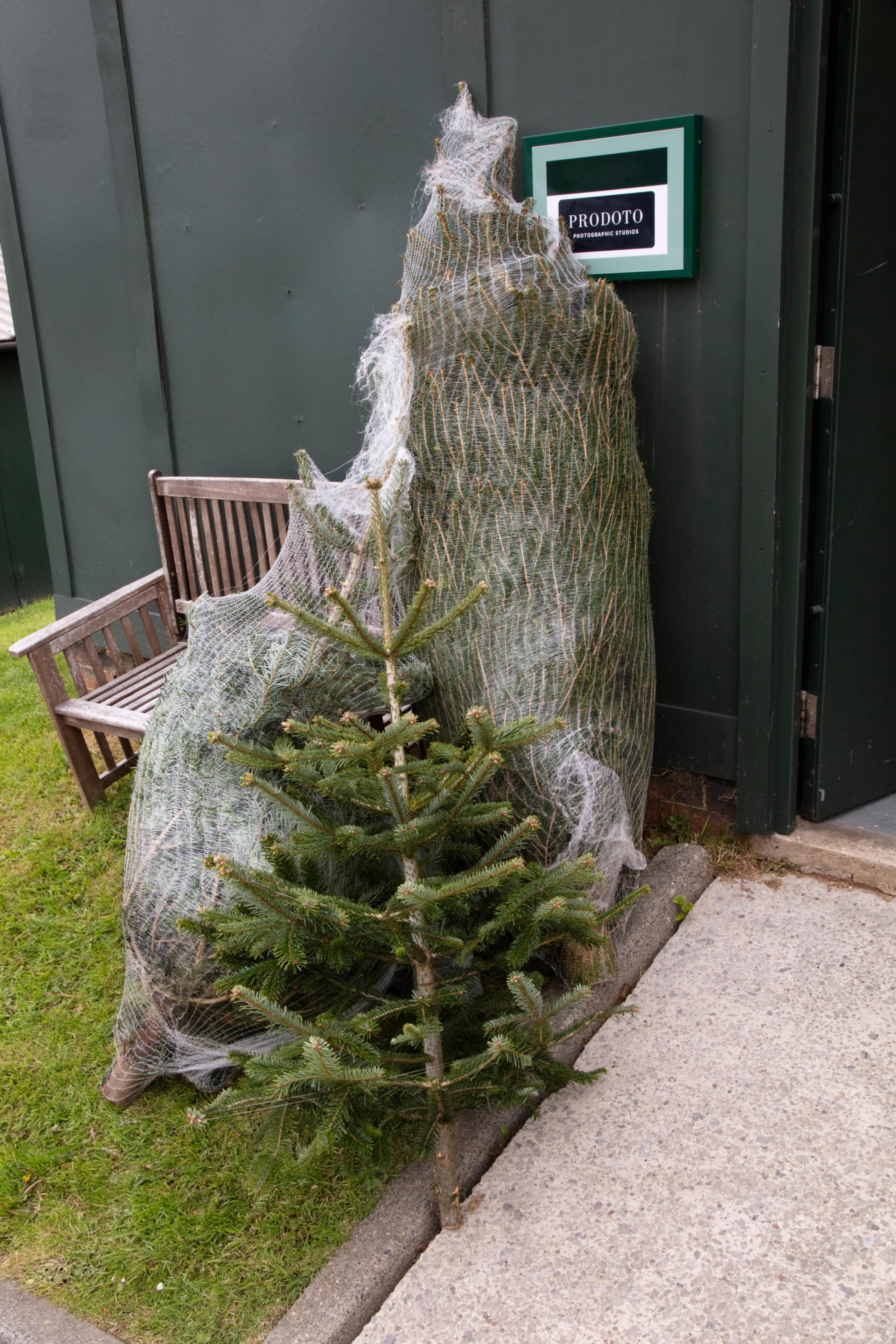 Adobe Photoshop 2022142043158526381