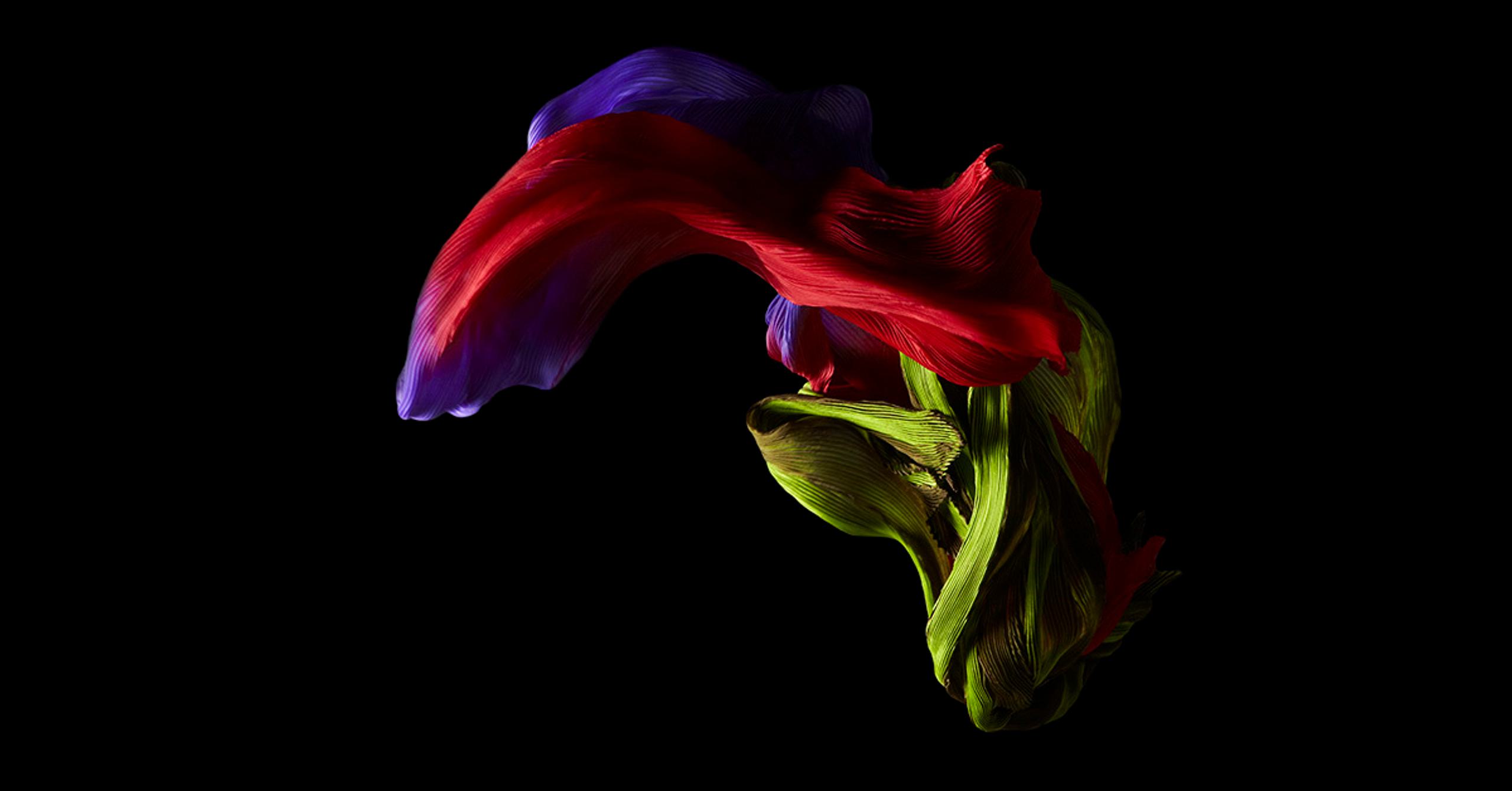 Creating a brief for product photography shoot example